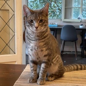 Meet your Posher, Kristi